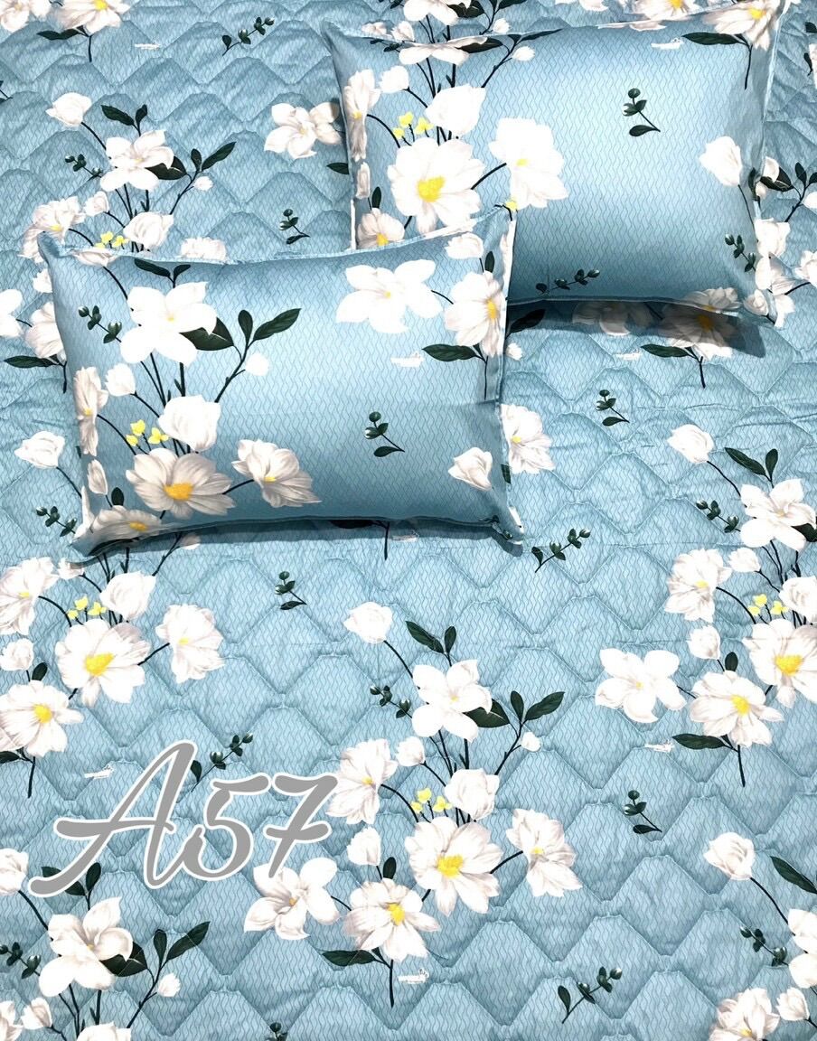 Bộ ga gối cotton thắng lợi - bông
