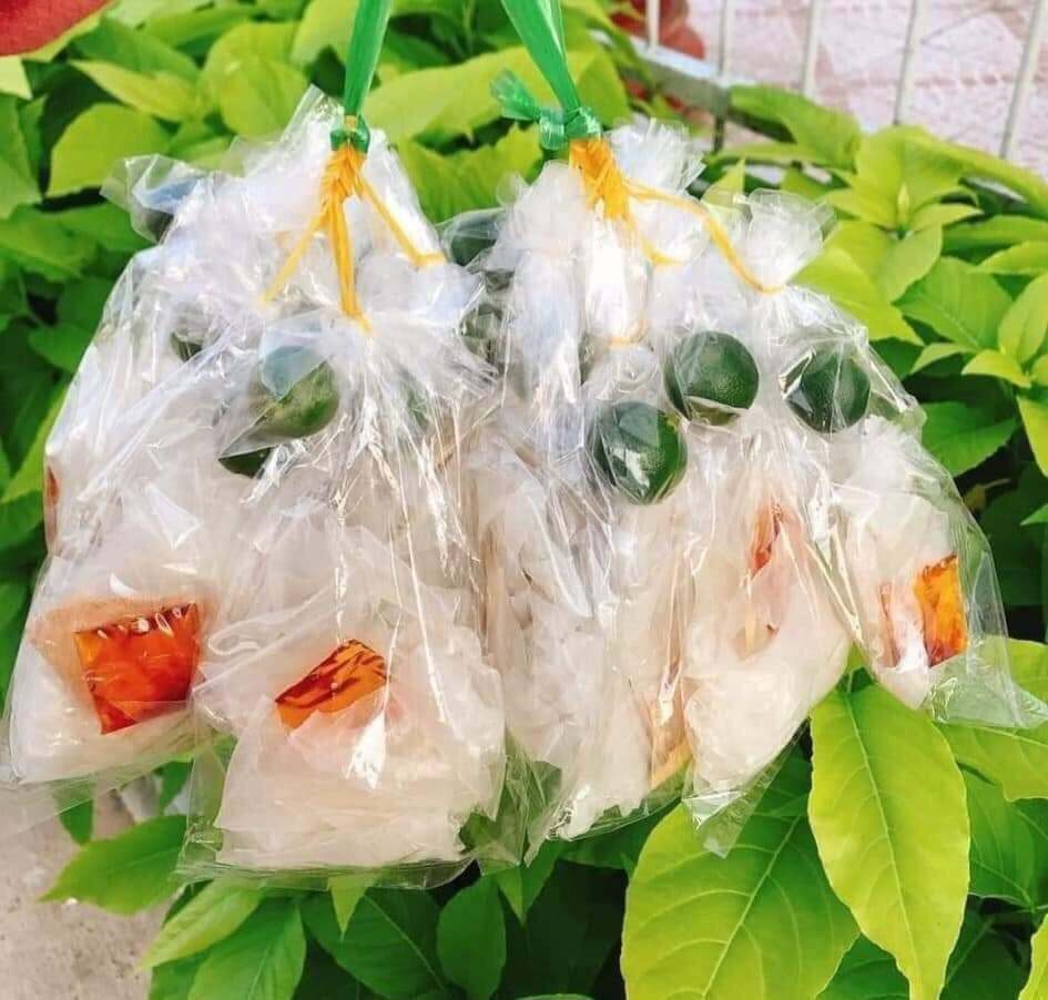 BÁNH TRÁNG PHƠI SƯƠNG SA TẾ MUỐI TẮC