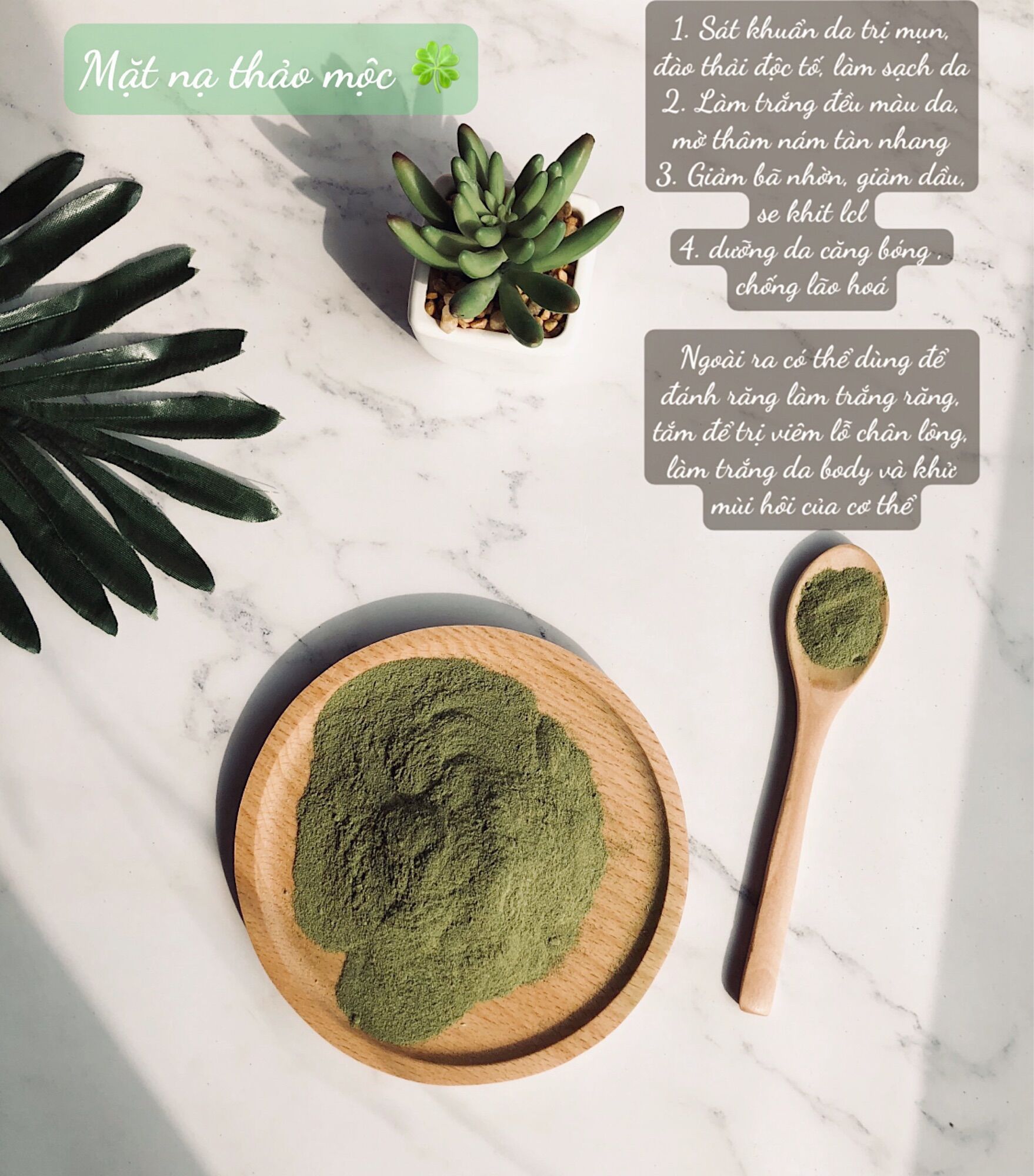 MẶT NẠ THẢO MỘC SKIN FUEL (Herbal Face Mask)