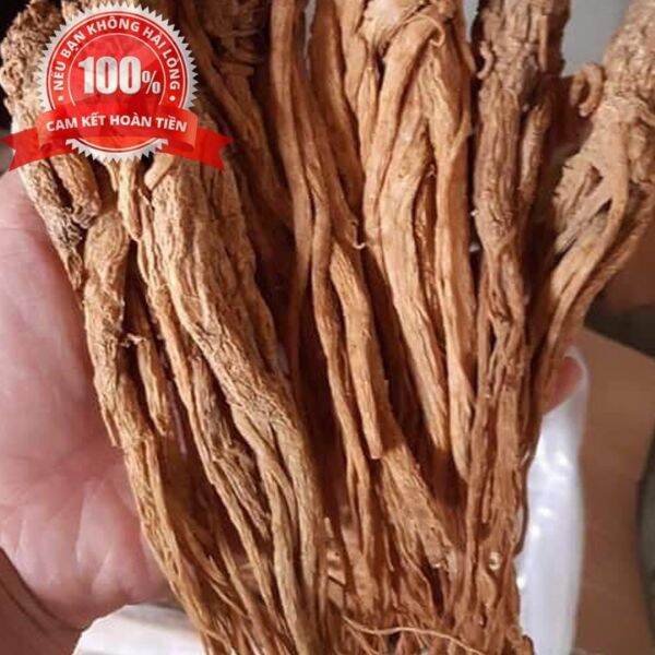500g sâm quy sâm đương quy