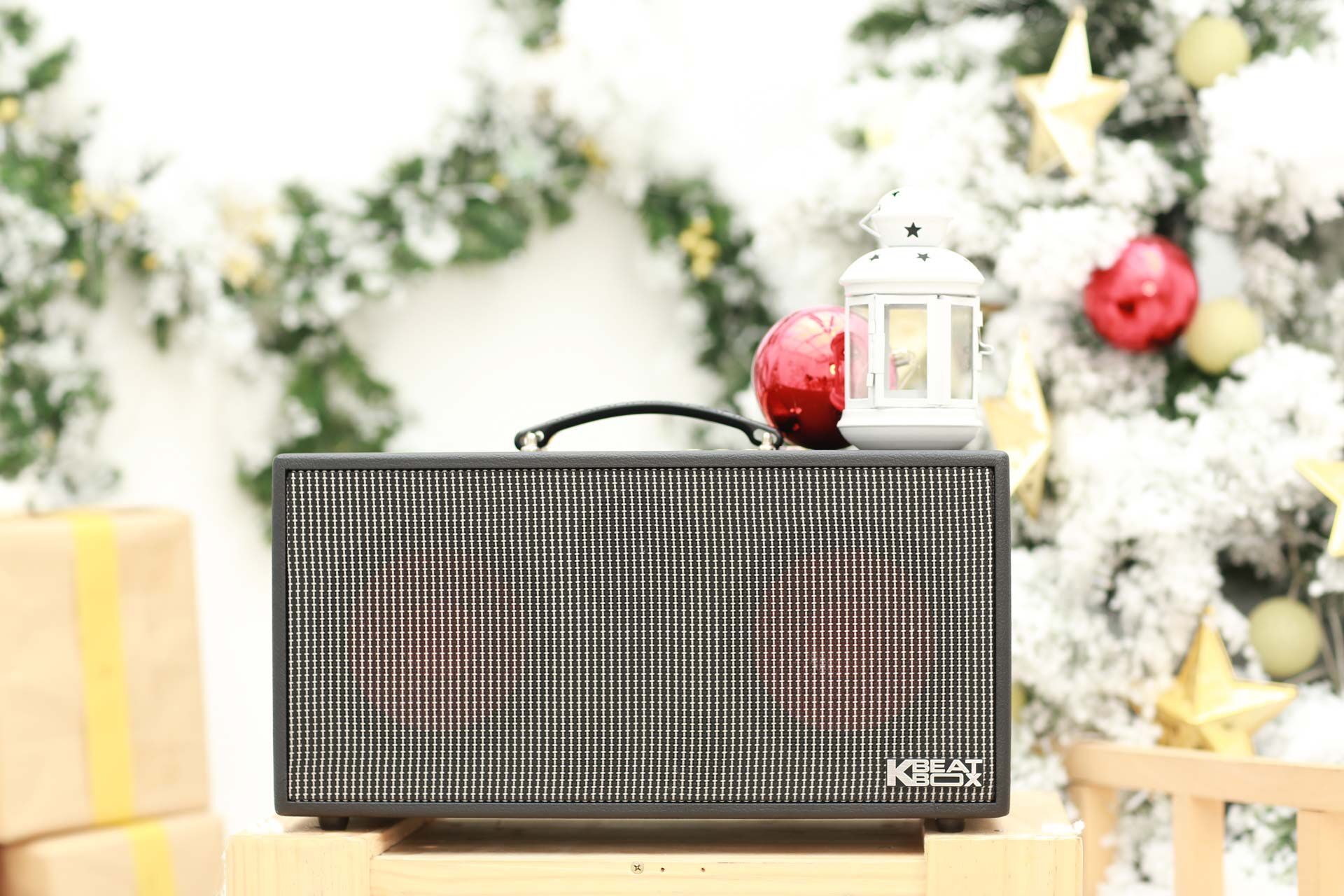 Loa karaoke xách tay Acnos CS450 (2 loa bass, 3 loa treble, 150W)