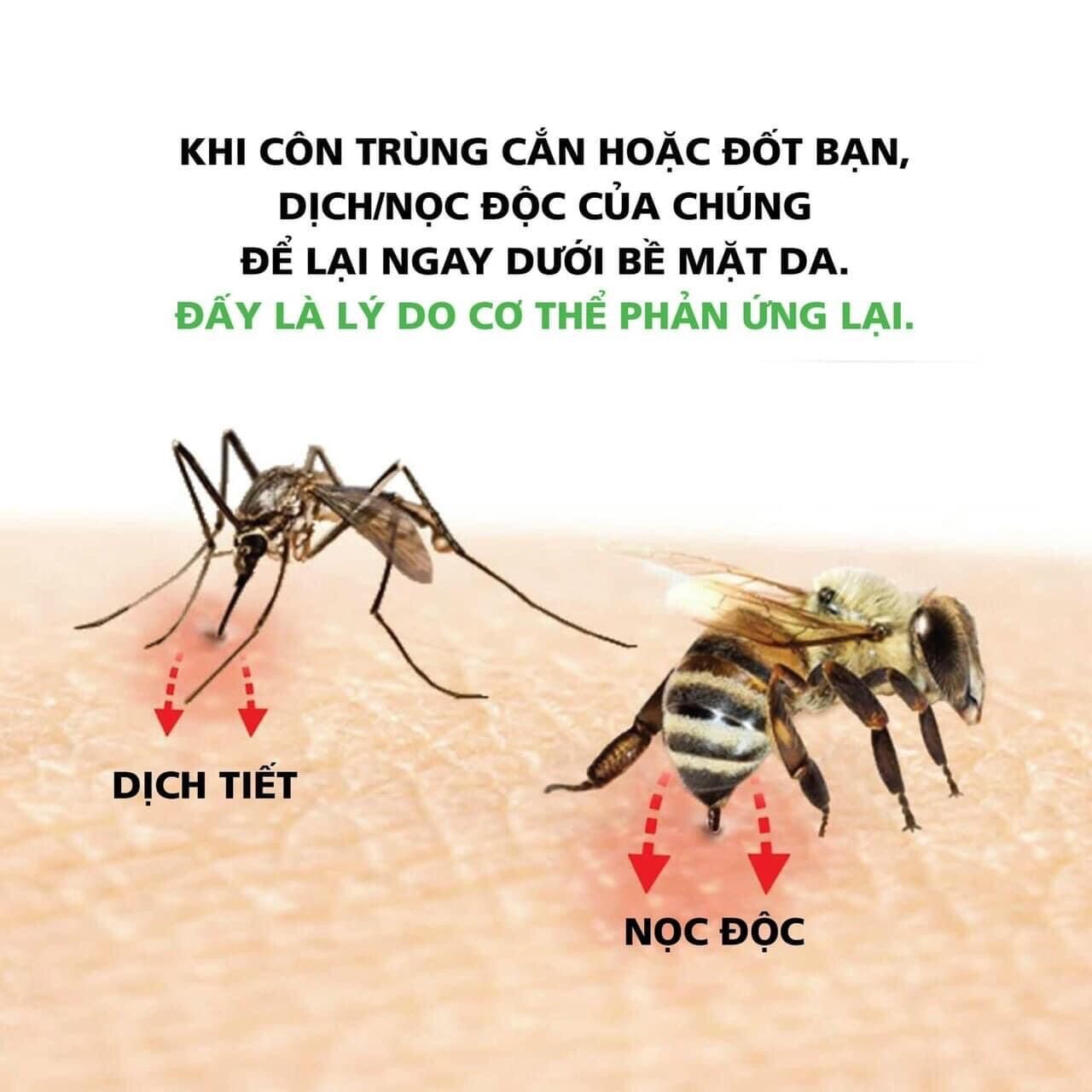 Dụng Cụ Hút Nọc Độc Do Kiến Muỗi Ong Đốt Bug Bite Thing