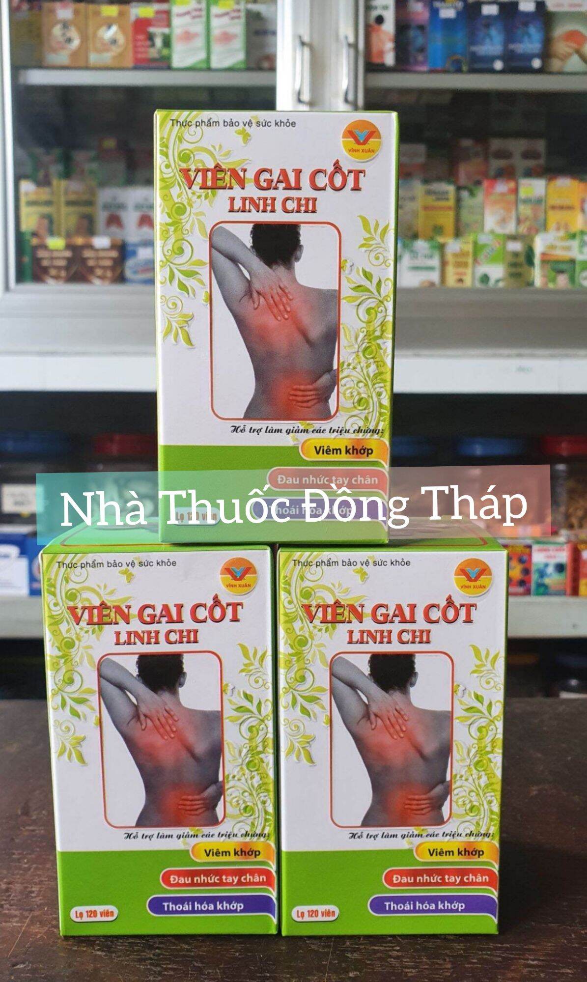 Viên gai cốt linh chi