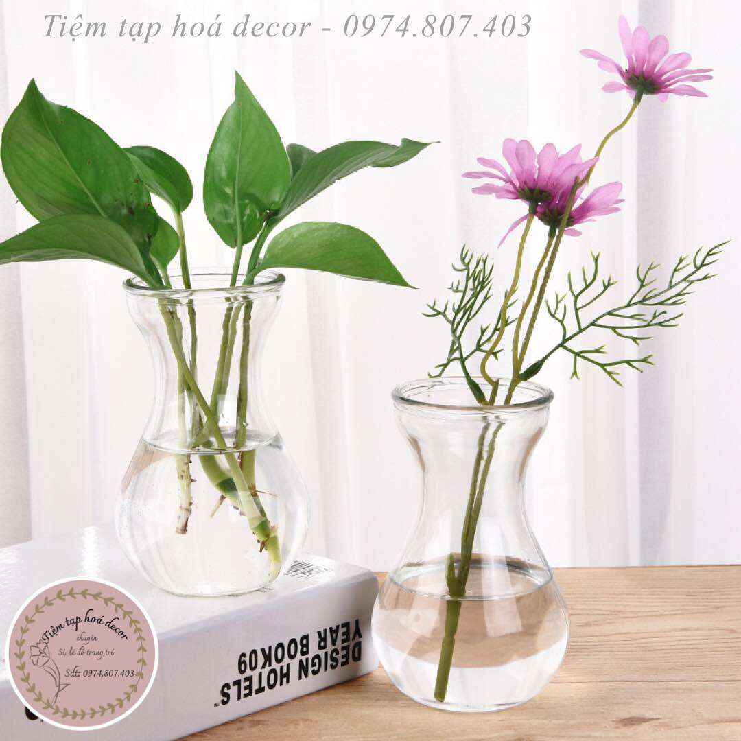 Bình trồng cây thuỷ sinh để bàn