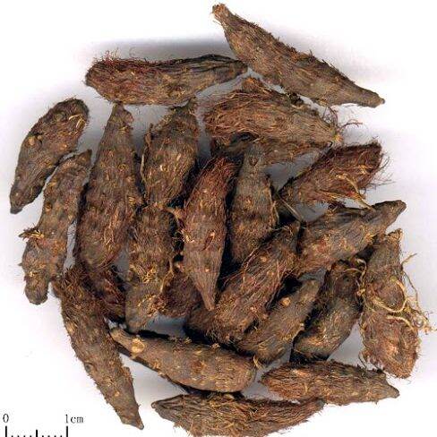 cỏ cú ( cỏ gấu) khô 1 kg