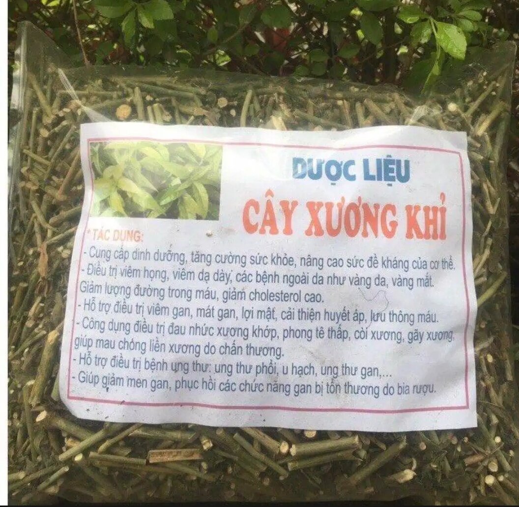 Cây xương khỉ 1 kg