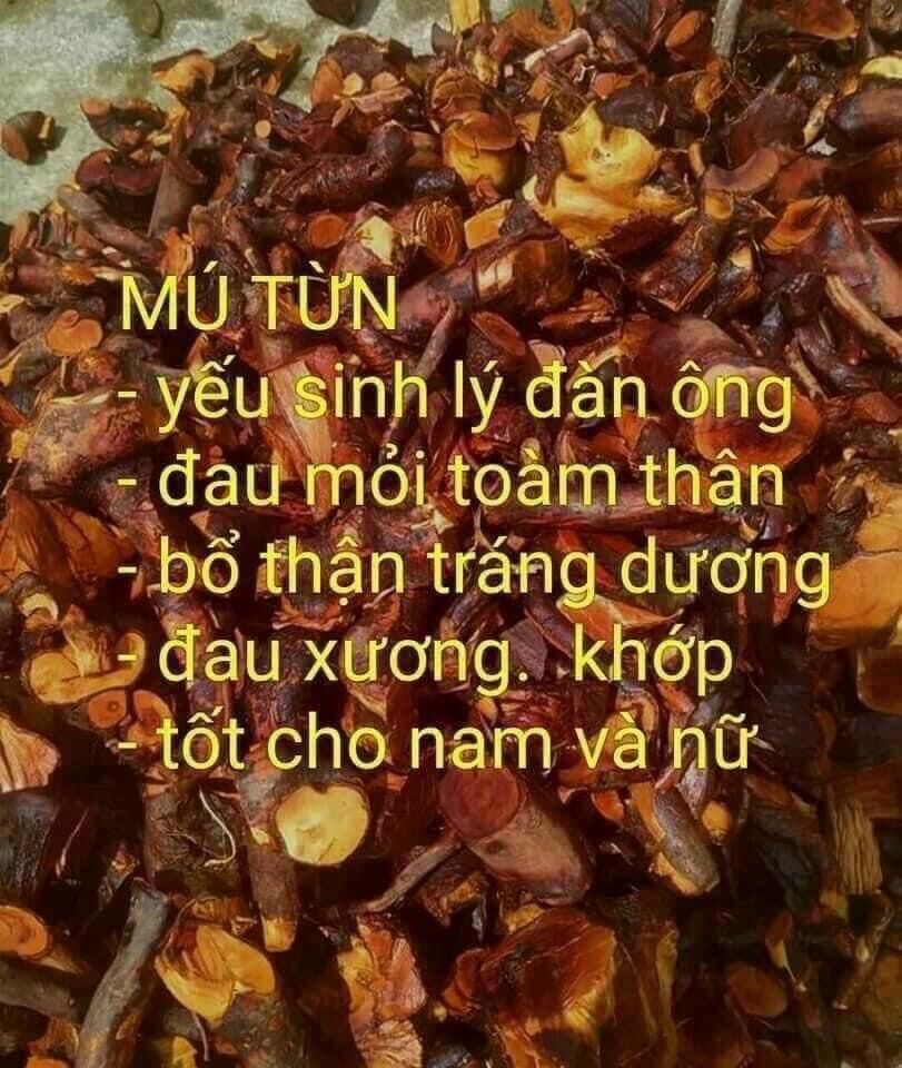 Rễ mù tứn đã phơi khô 1kg