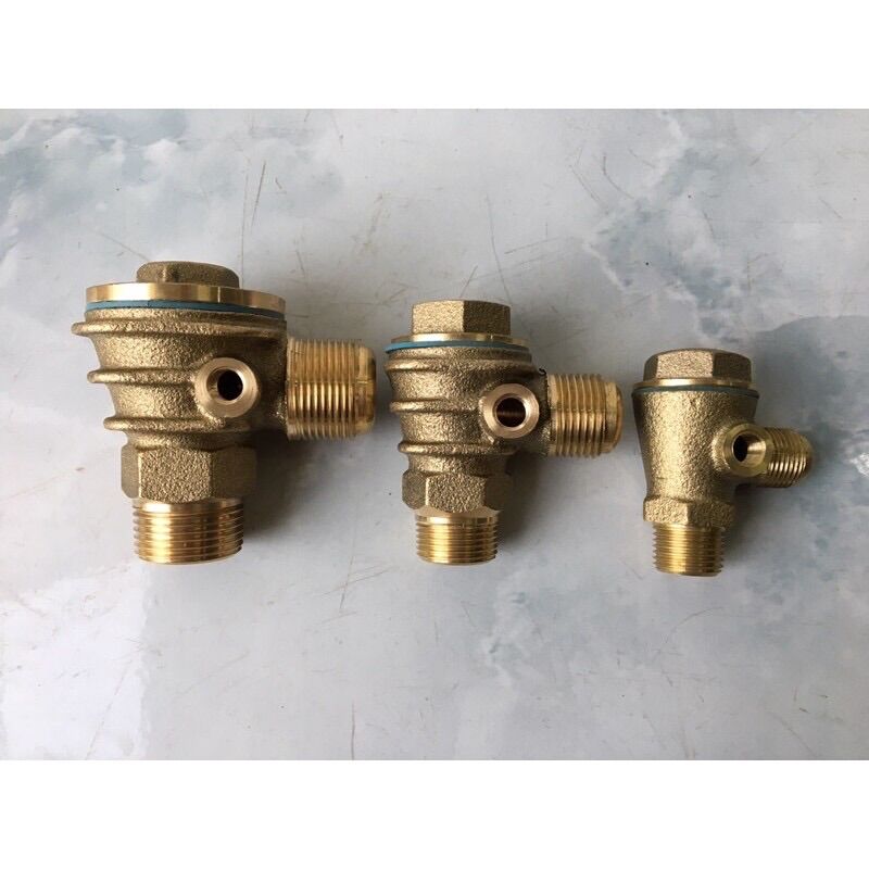 Van 1 chiều máy nén khí Đài Loan 21mm