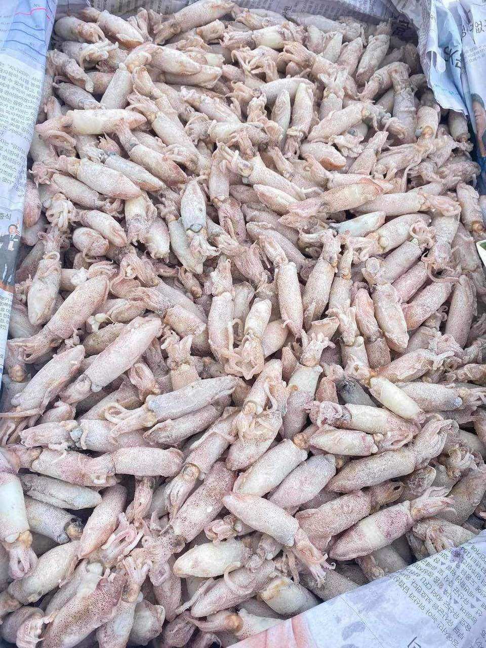 0,5kg Mực Sim hấp thuyền (giao hoả tốc)