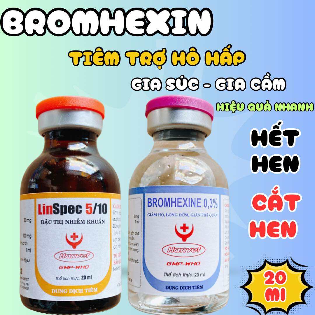 Linspec 5/10 và bromhexin bộ đôi trị hen khẹt, khò khè cho gà