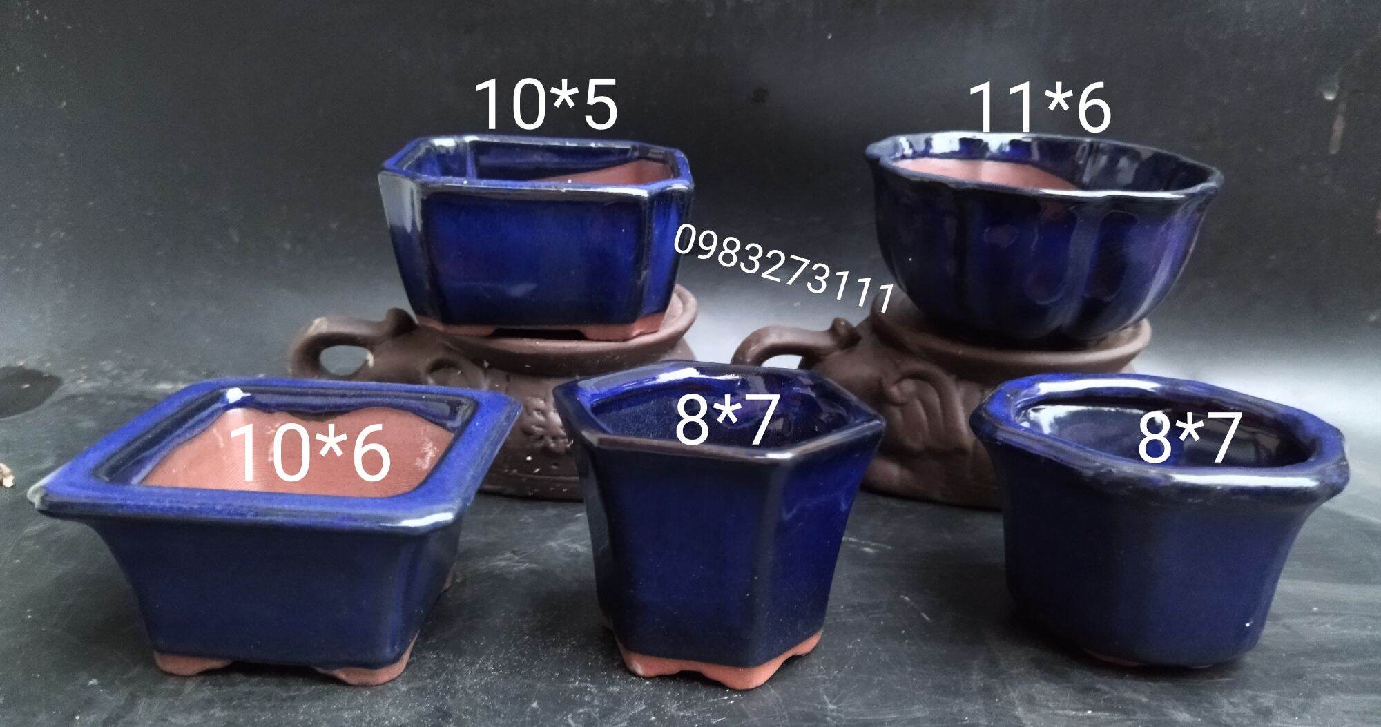 Combo 5 chậu xanh coban