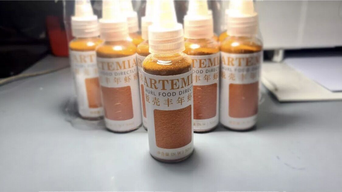 Artemia sấy khô không cần ấp - thức ăn cho cá cảnh - artemia ăn trực tiếp không cần ấp nở lọ 10ml