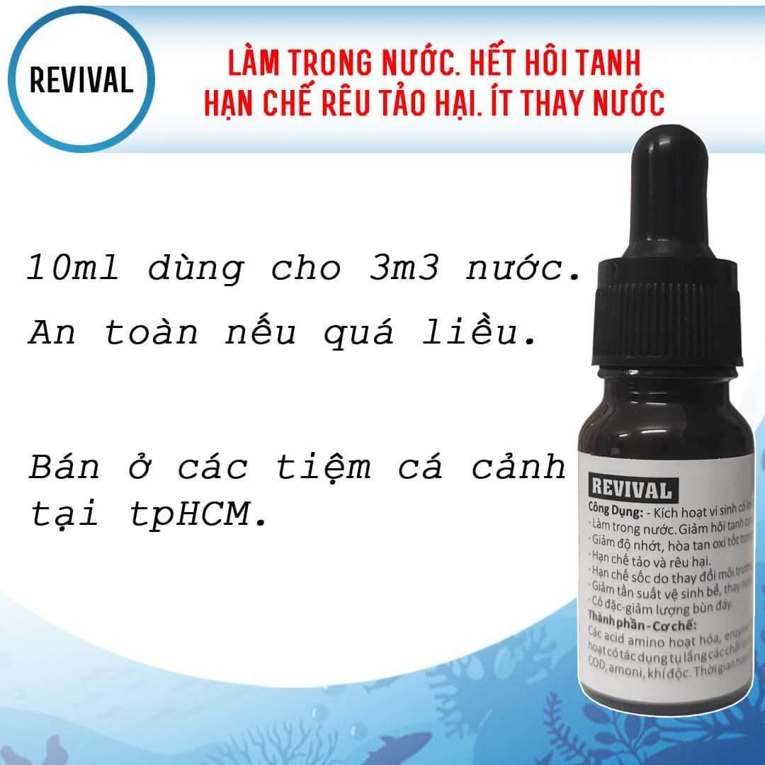 REVIVAL  xử lý nước hồ cá