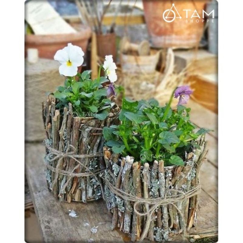 Cành củi khô  trang trí,  decor gần gũi tự nhiên (bó 20 cành)