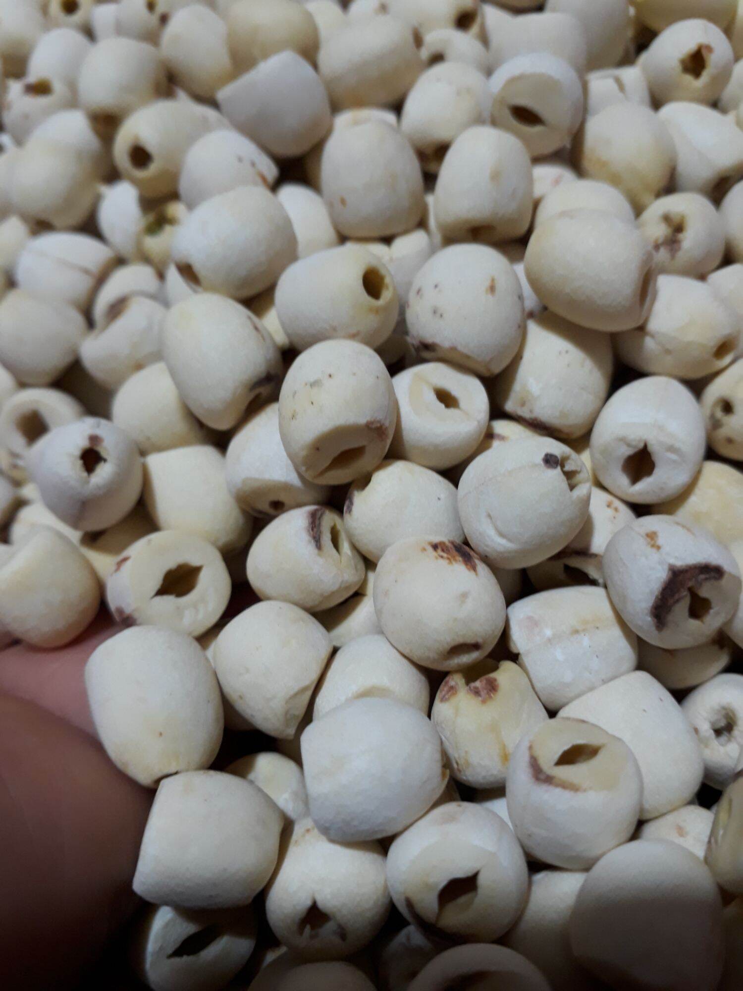 Hạt sen khô miền Nam, sen mới thơm ngọt bở