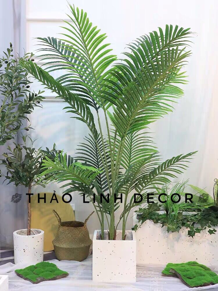 Cây dừa cảnh giả trang trí cao cấp - 160cm Thảo linh Decor