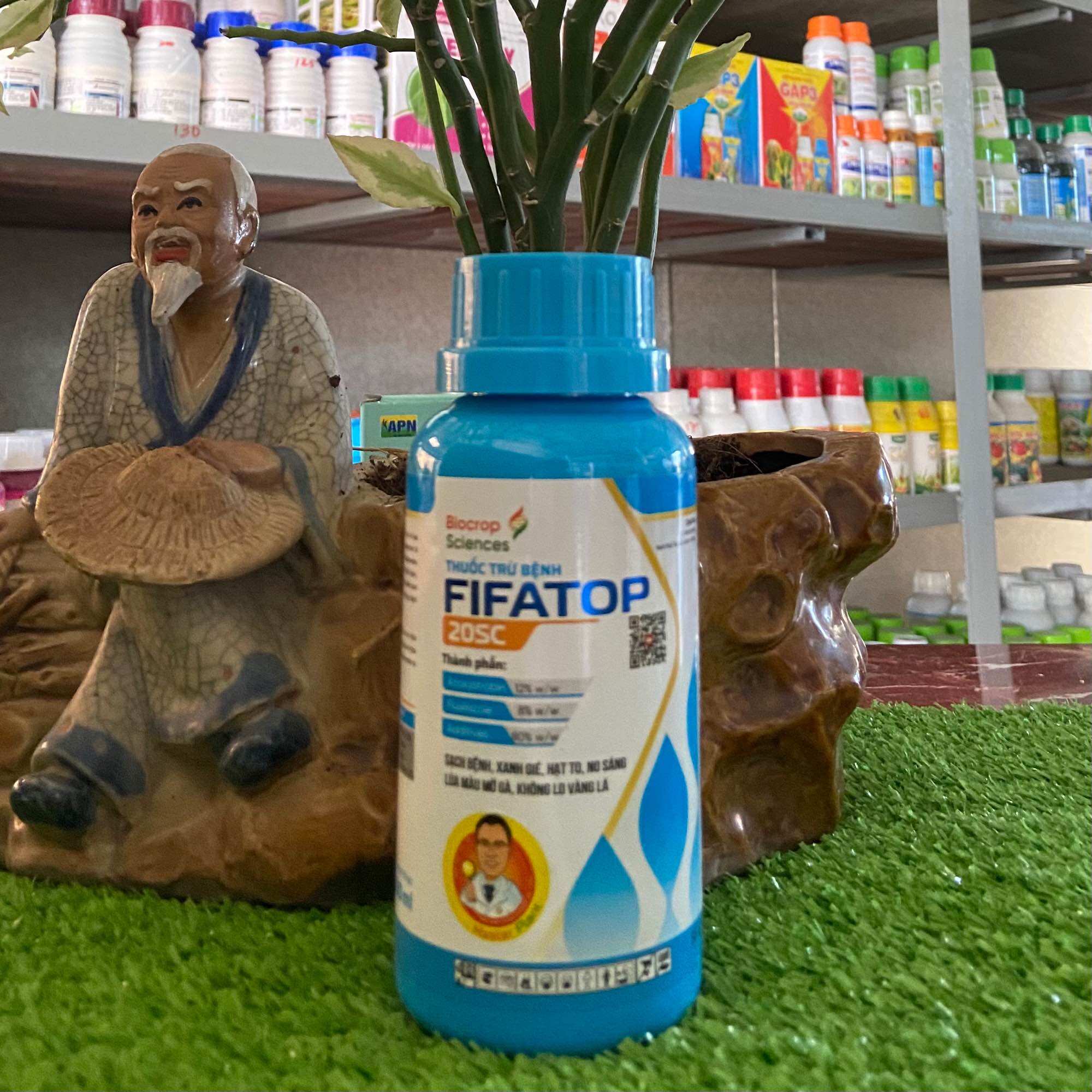 Phân Bón hiệu FIFATOP của BIOCROP lép đen lép vàng than vàng đạo ôn vàng là chín sớm