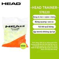 HEAD | Bóng Tennis Tour Gold Chính Hãng Match & Training Bật Cao Bền
