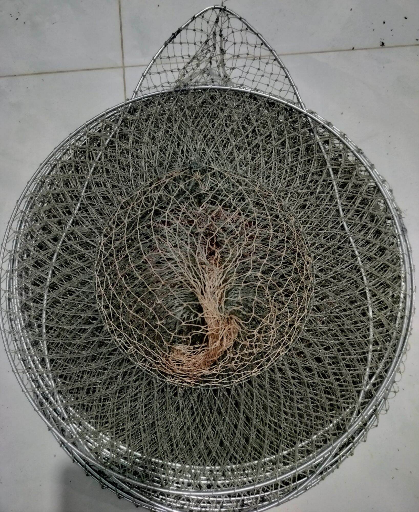 lờ cá cải tiến vành sắt tai thỏ (30*52)