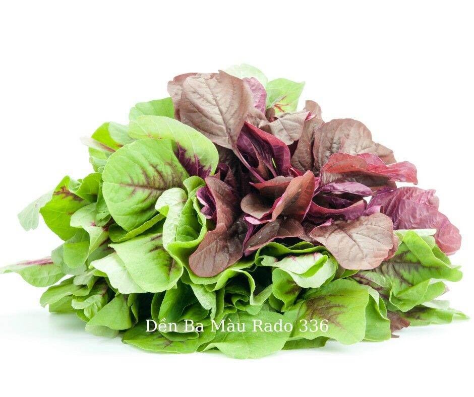 Hạt Giống Rau Dền 3 màu