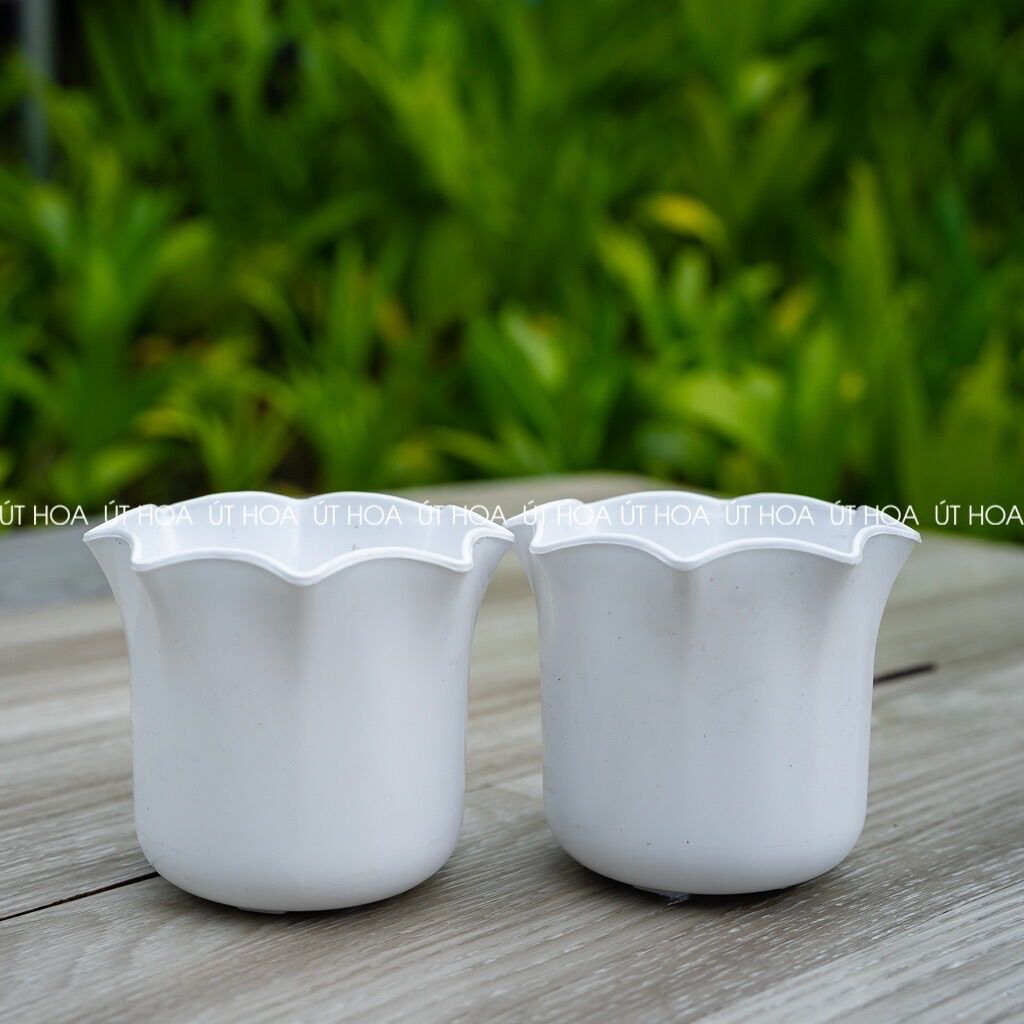Chậu mini miệng bèo dày dặn, trồng sen đá, hoa kiểng