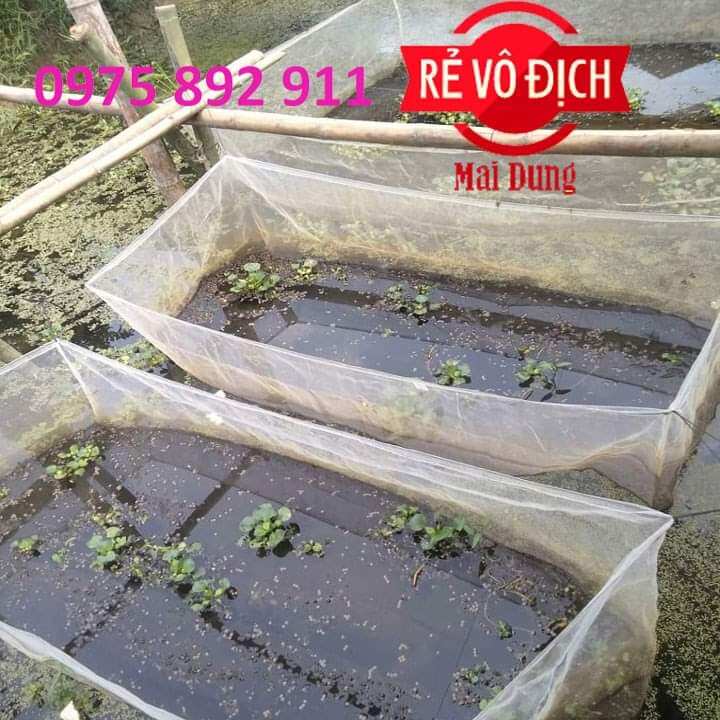 lồng - tráng nuôi ếch - cho người tập nuôi
