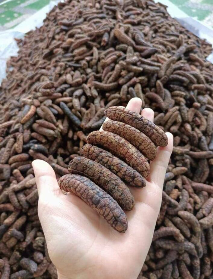 chuối hột phơi khô ngâm rượu 500g