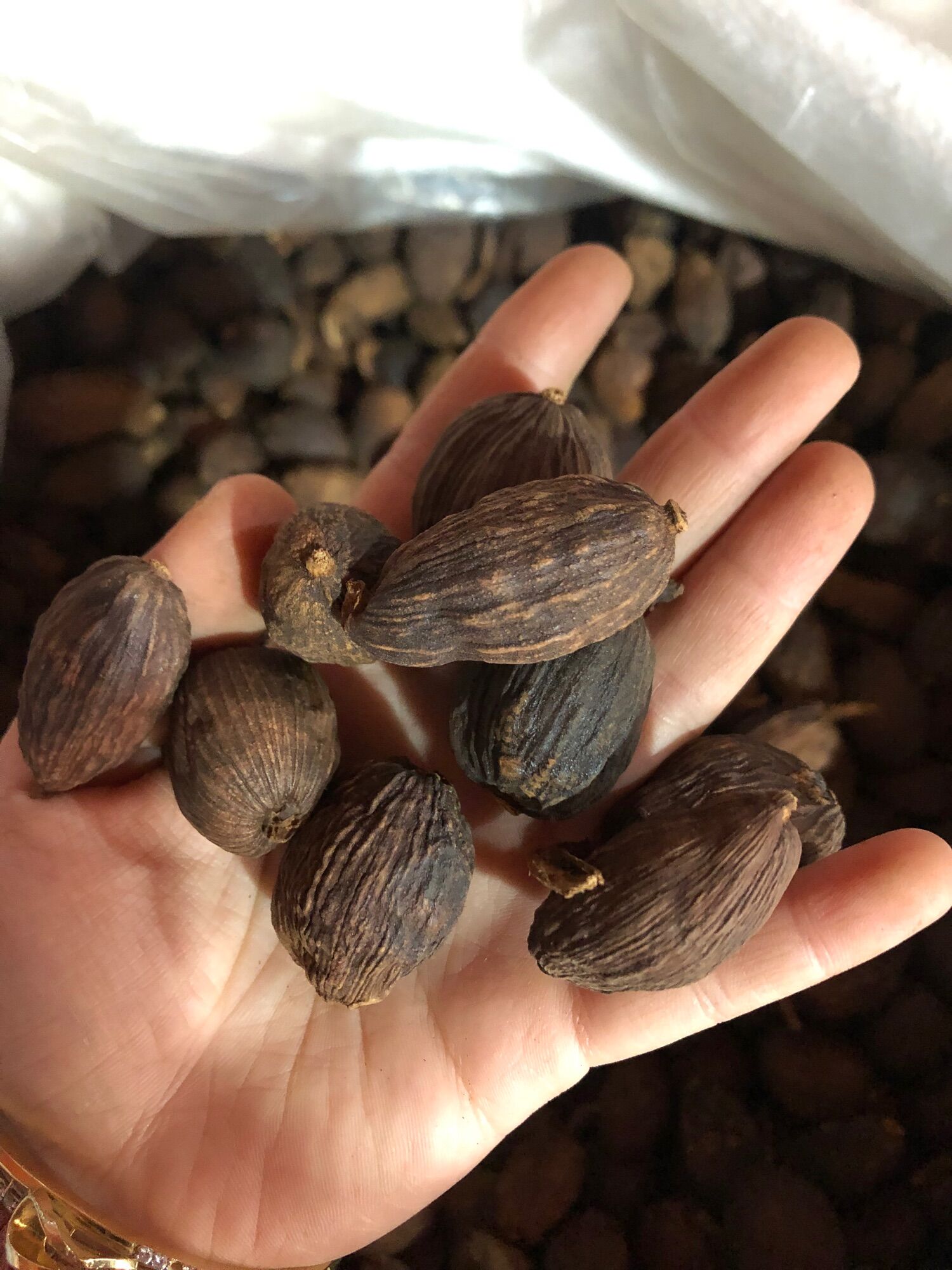 100Gam thảo quả to đẹp loại đặc biệt
