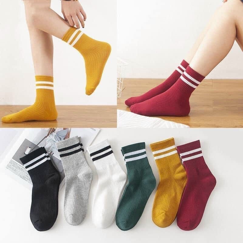 Set 5 tất, vớ nữ