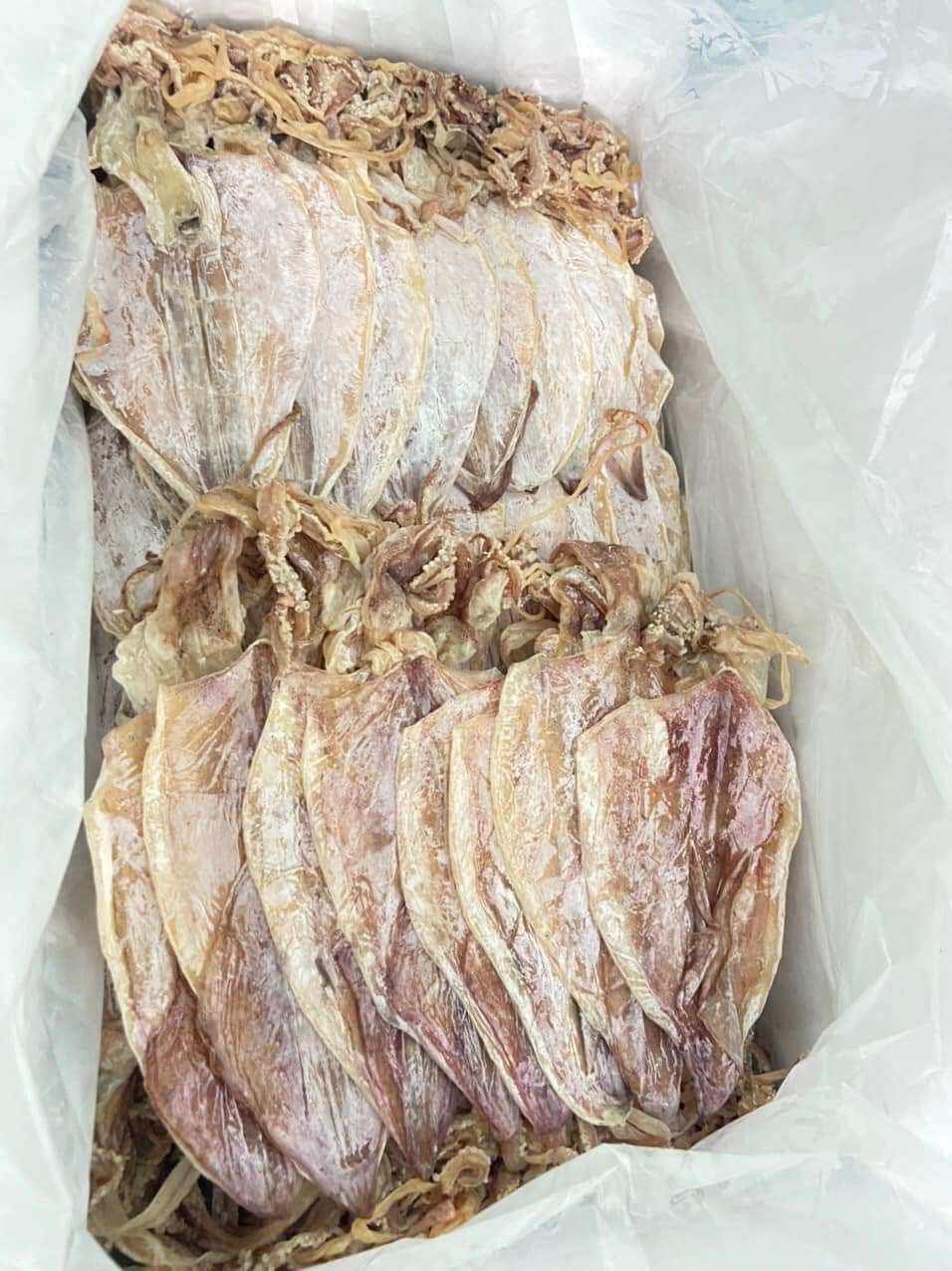 500kg mực khô size 30-35 con