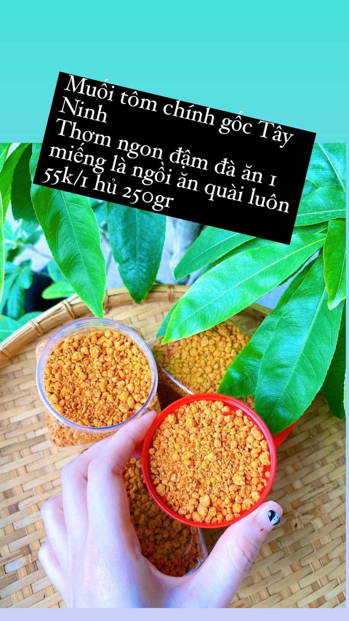 MUỐI TÔM TÂY NINH