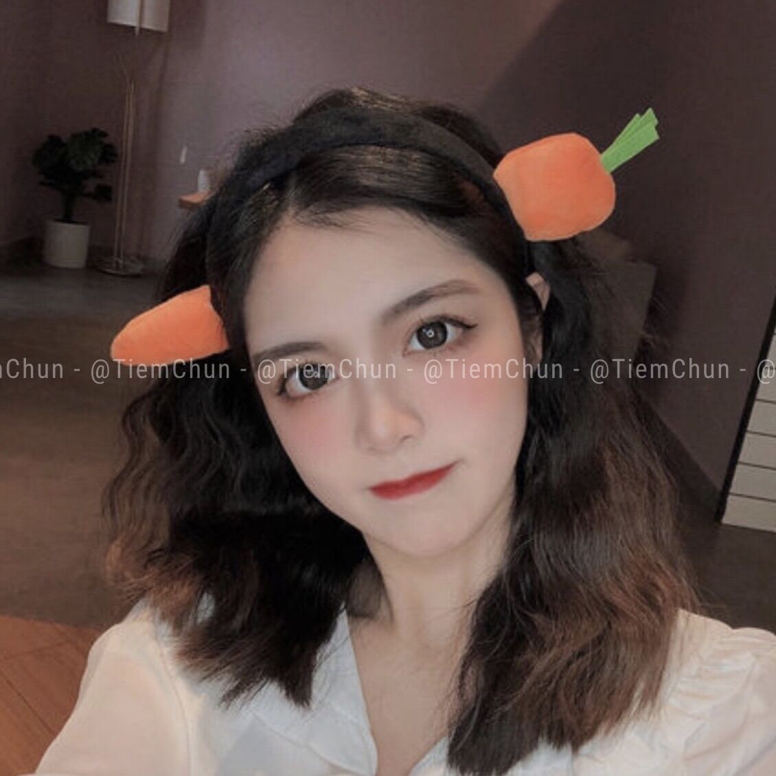 [TC26]Bờm cài tóc cà rốt, Bờm cài tóc cá cute - Tiệm Chun