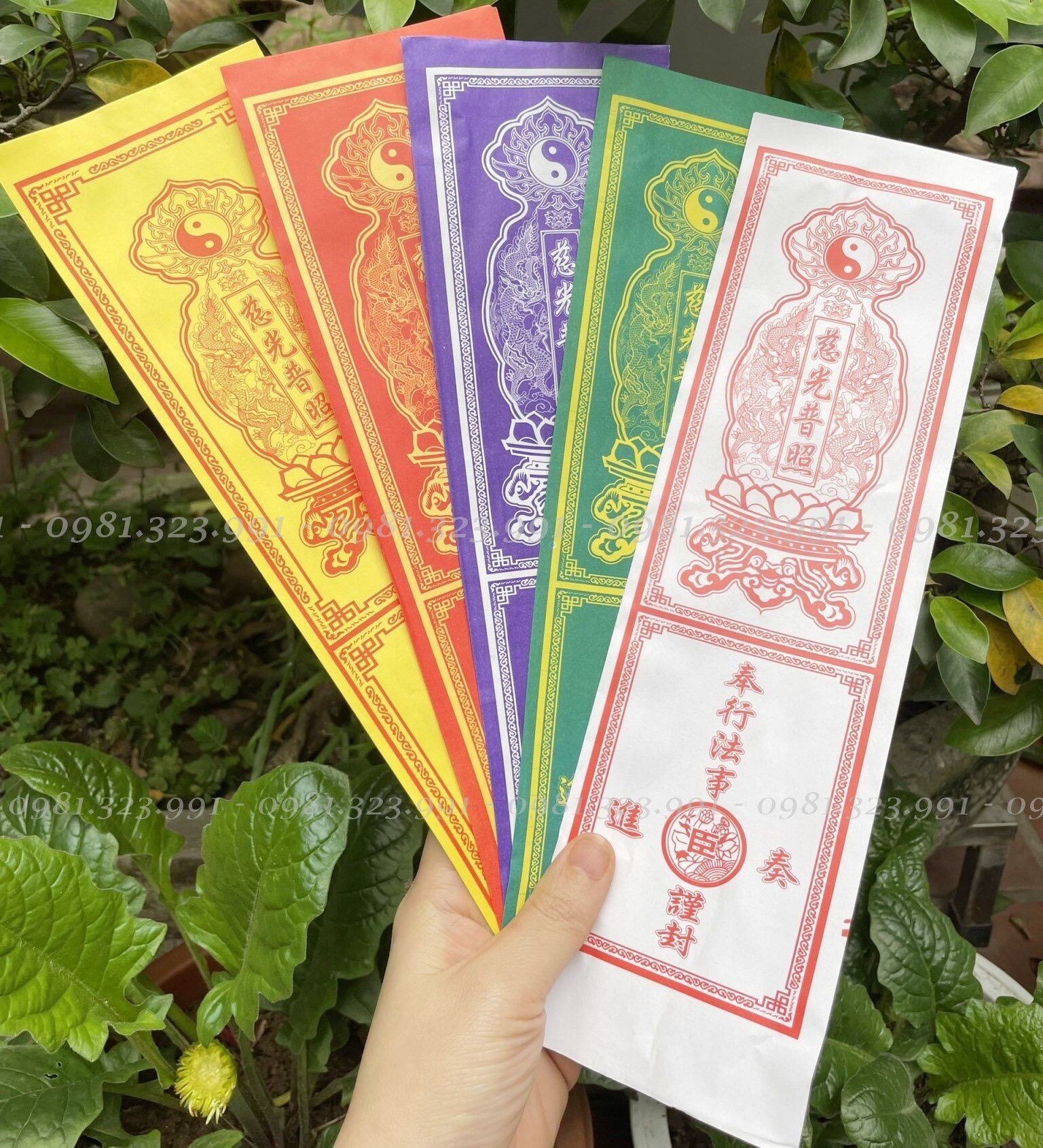 500 vỏ sớ hoa sen