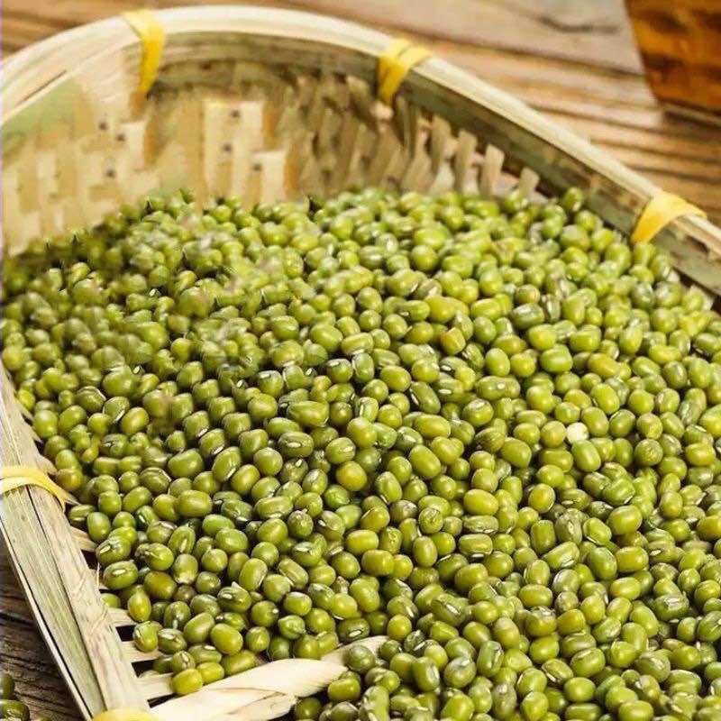 Đậu xanh hột loại 1