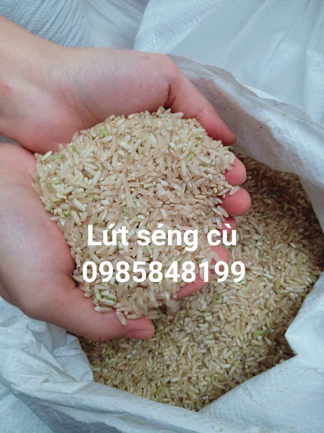 Gạo Lứt SÉNG CÙ (1kg)