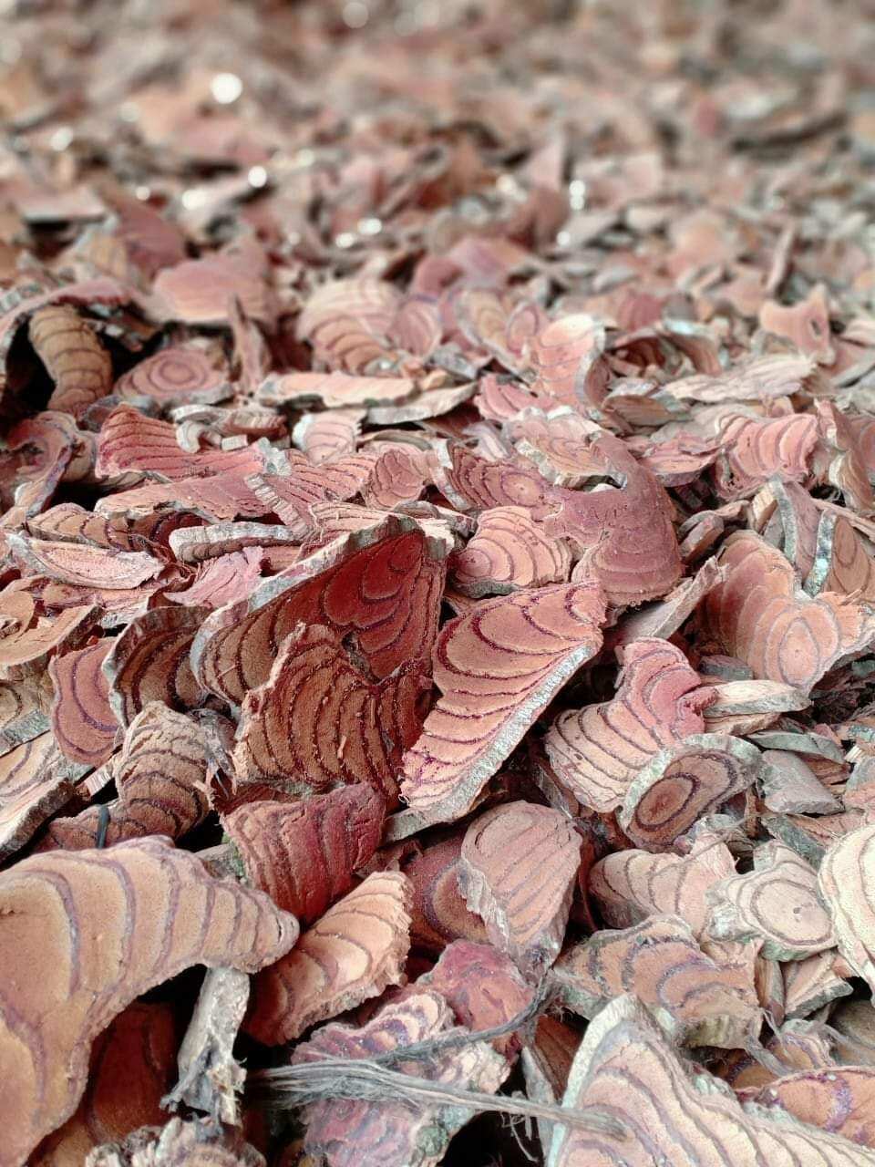 Kê Huyết Đằng Lai Châu 1kg