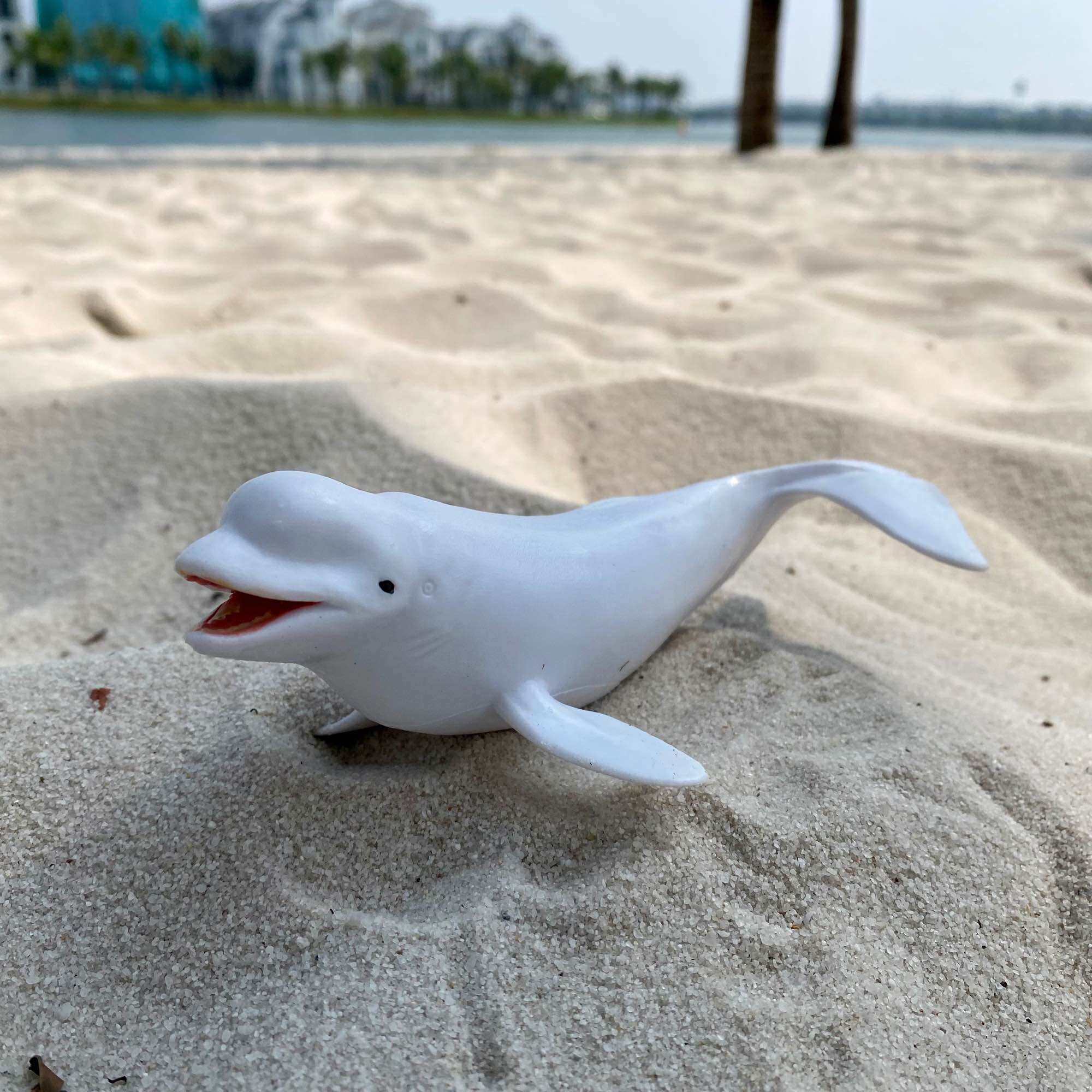 Mô hình động vật con cá voi trắng cá heo trắng Beluga
