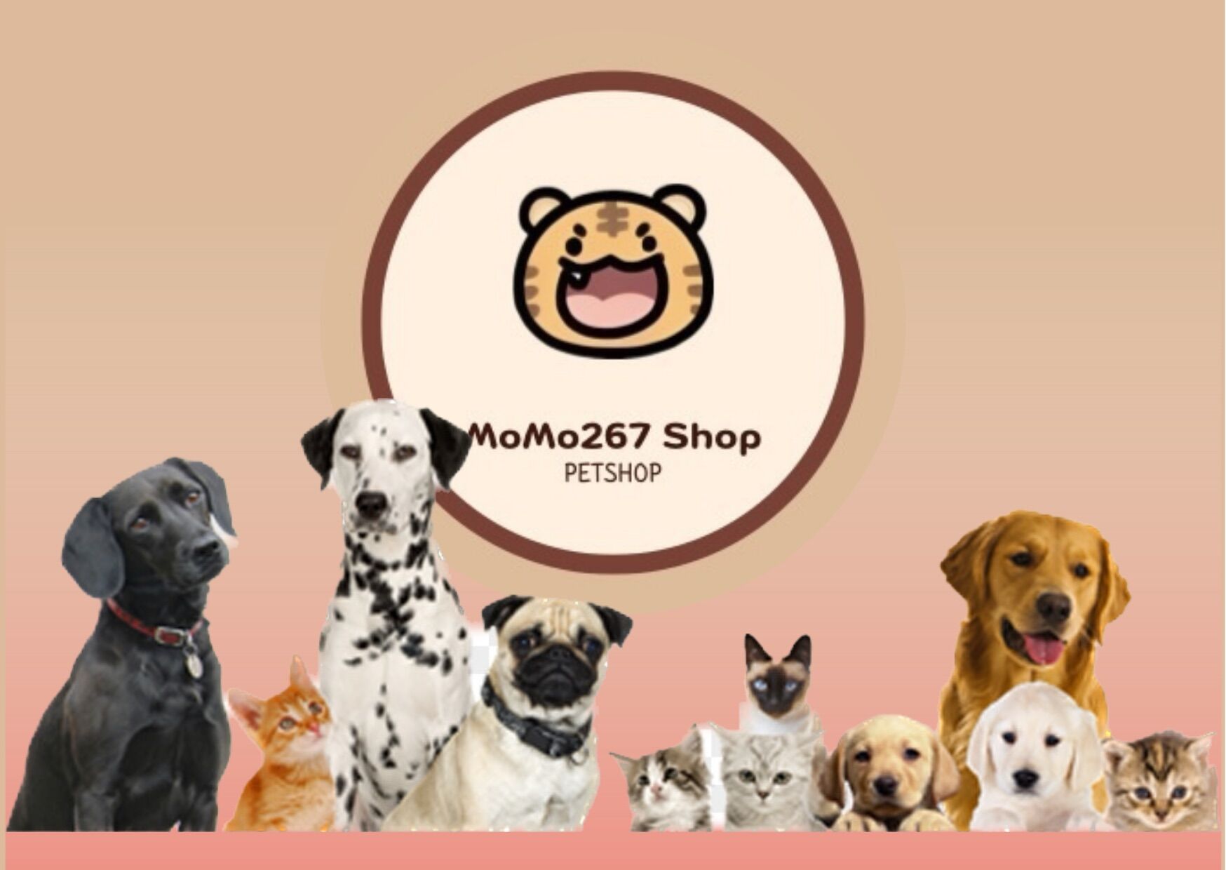 Bao 20l - Cát vệ sinh mèo CAT PRO MAX