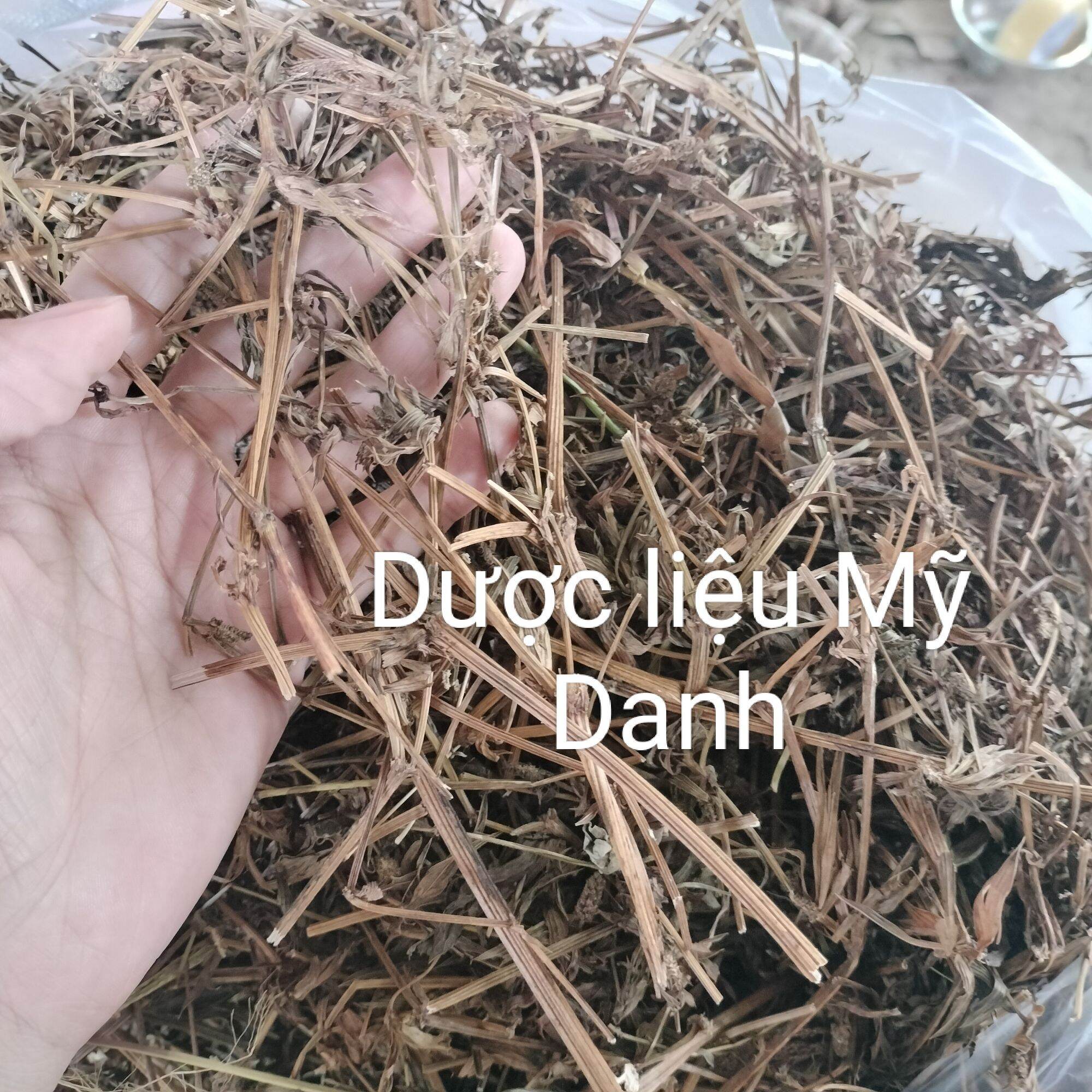 Bông Ngò Gai _ Mùi Tàu 1kg