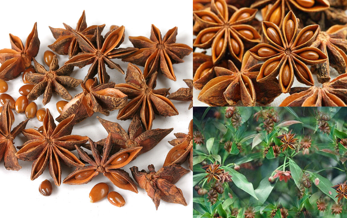 Hoa hồi 500g