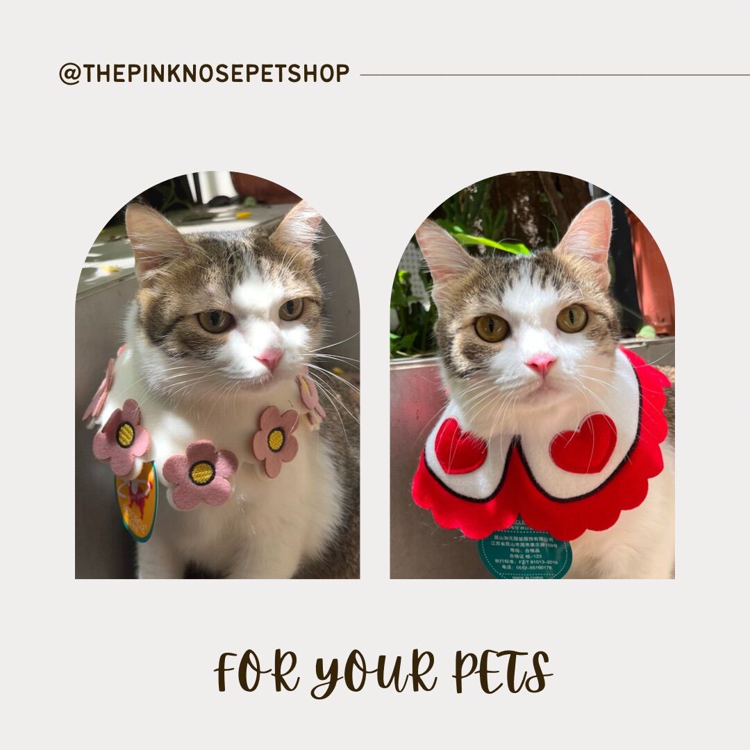✨✨ Yếm đeo cổ cho chó mèo cute ✨✨