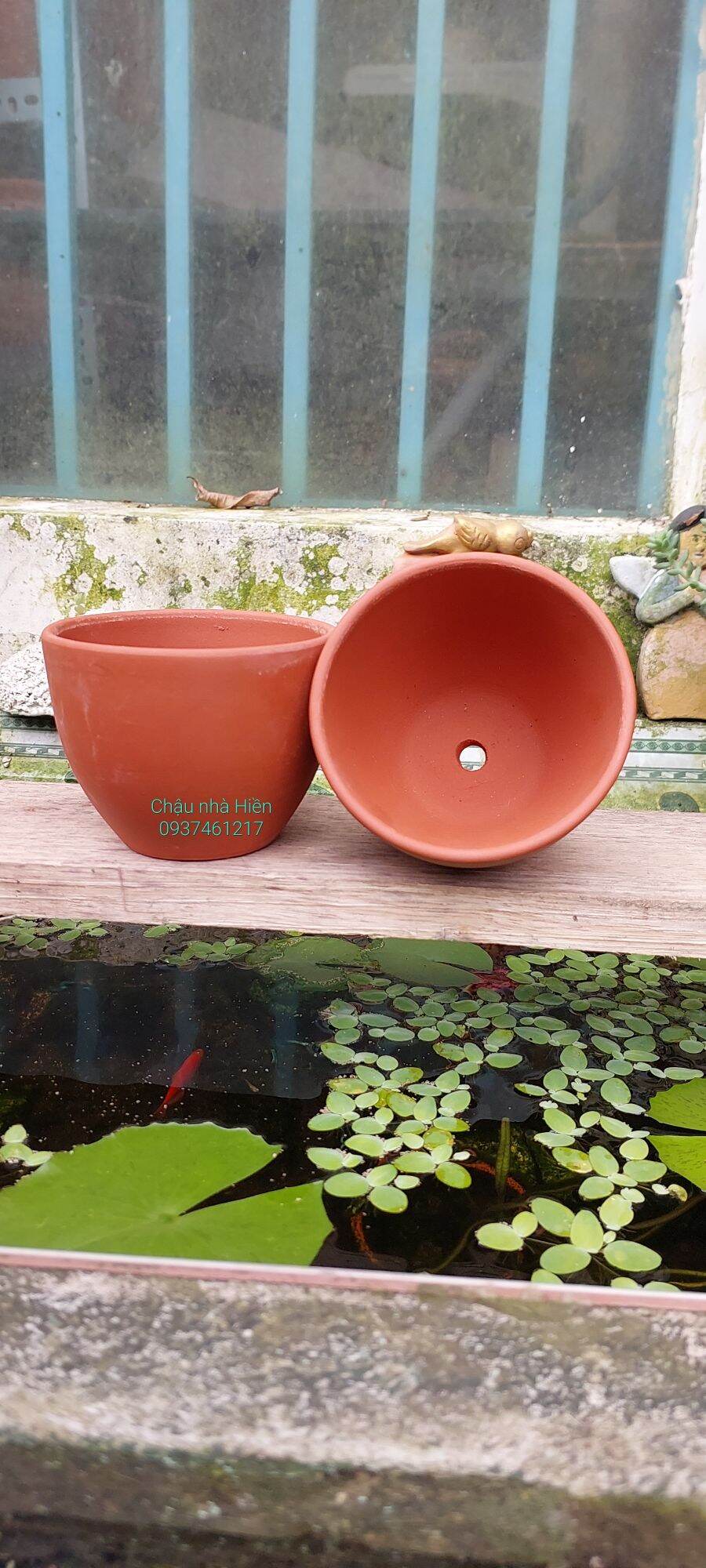 Chậu đất nung Bình Dương hình trứng m10 x c8