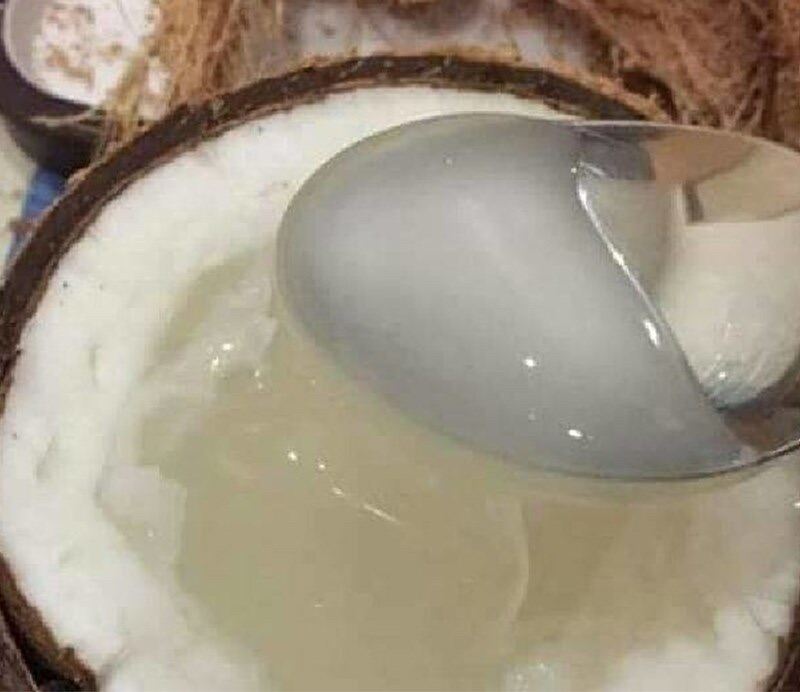 Dừa sáp sệt bao ăn
