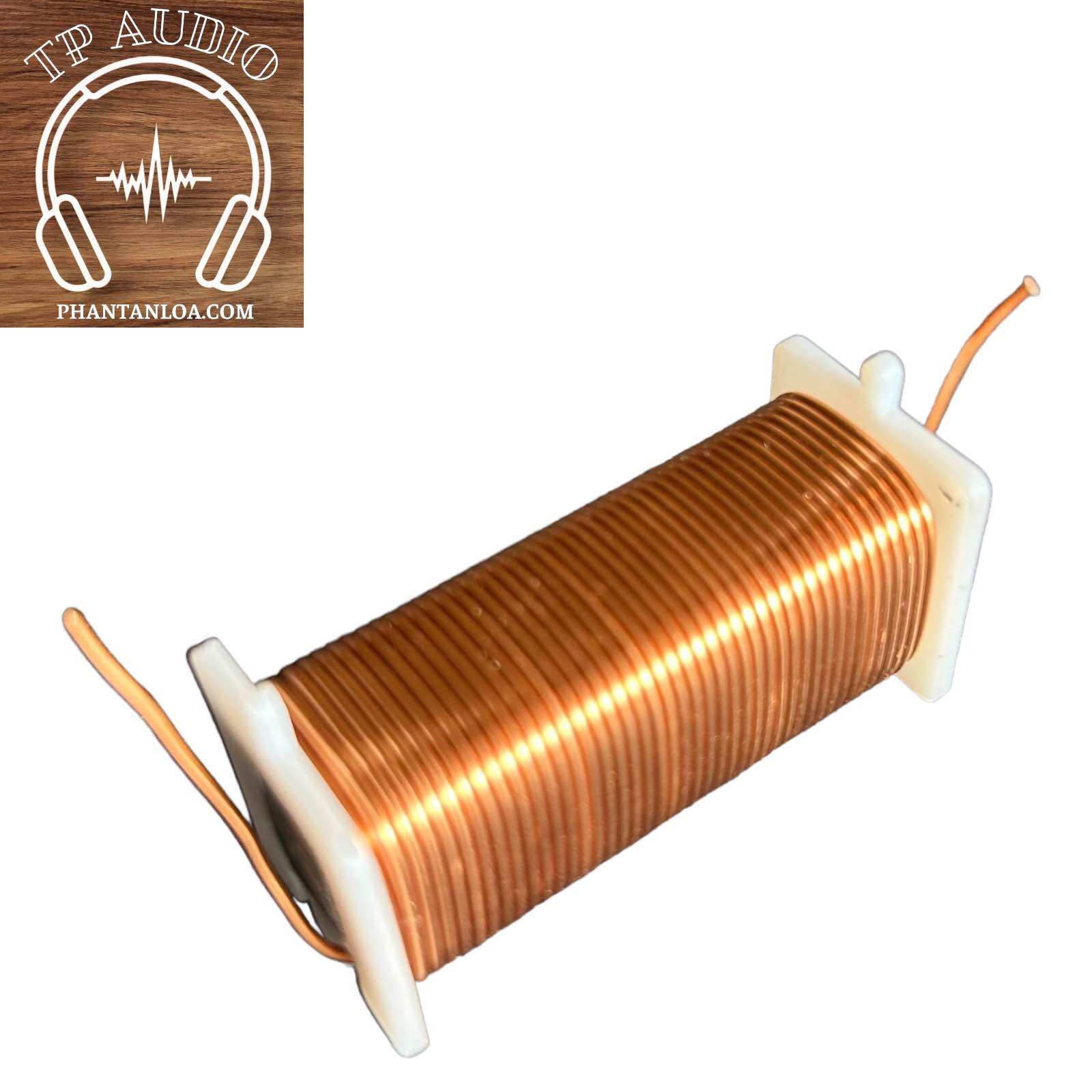 [HCM]Cuộn Cảm Phân Tần 6cm