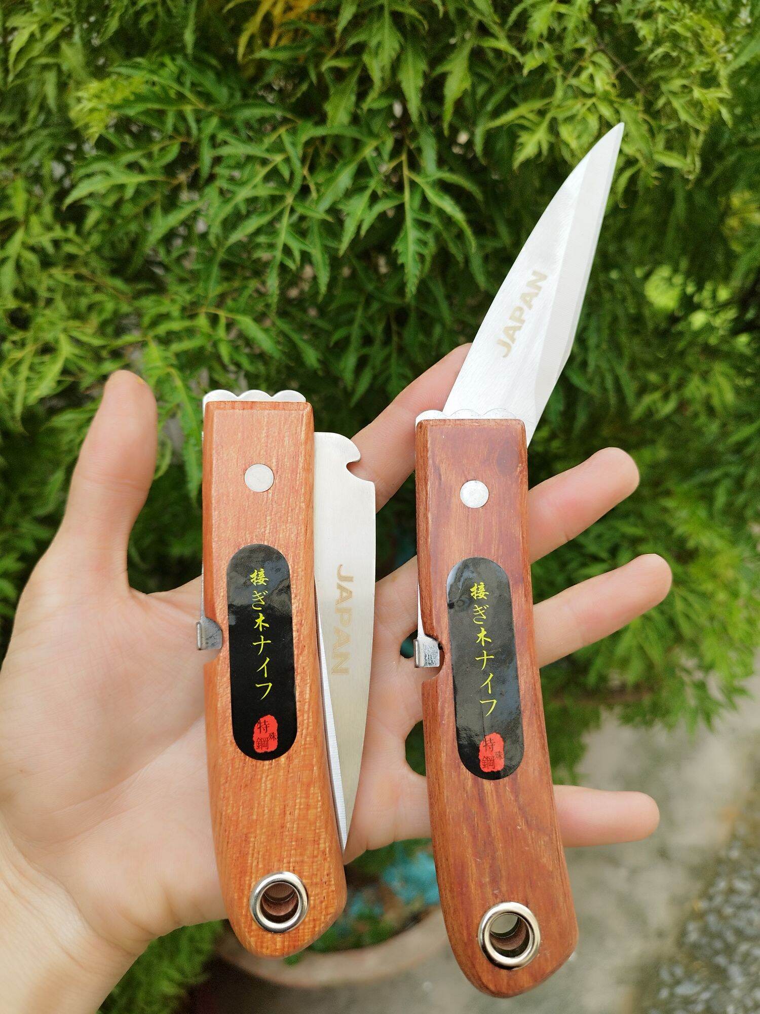 Dao nhật cắt ghép cành cây