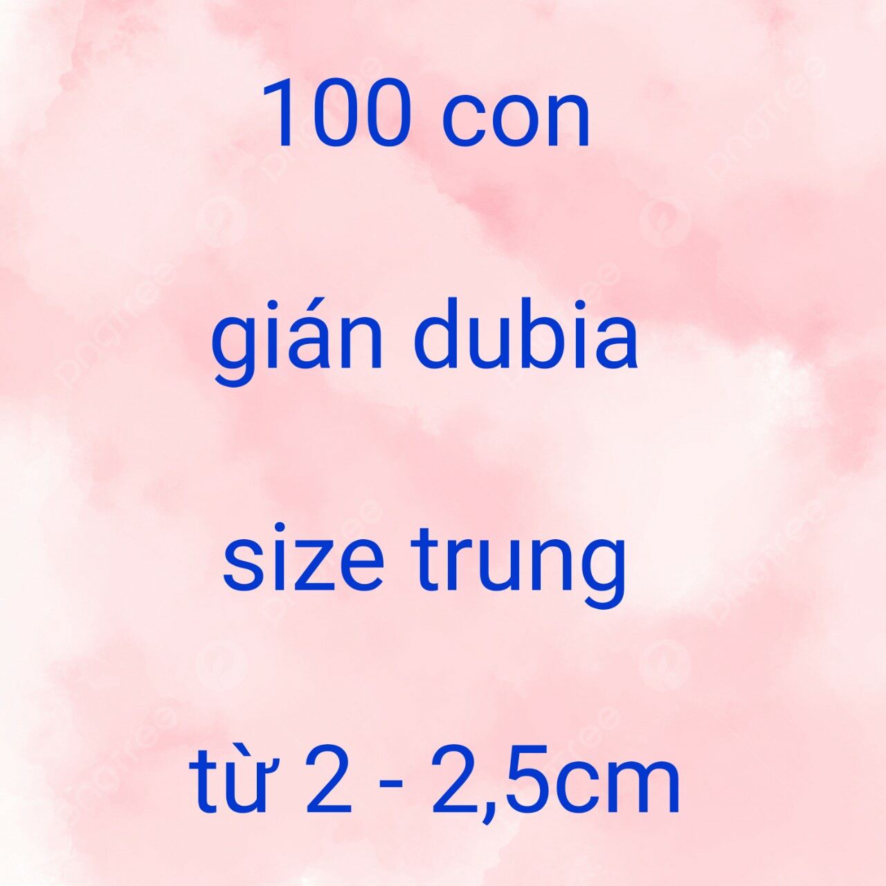 Thu thập mã giảm 20k phí ship khi mua 100 con gián dubia size trung từ 2 - 2,5cm