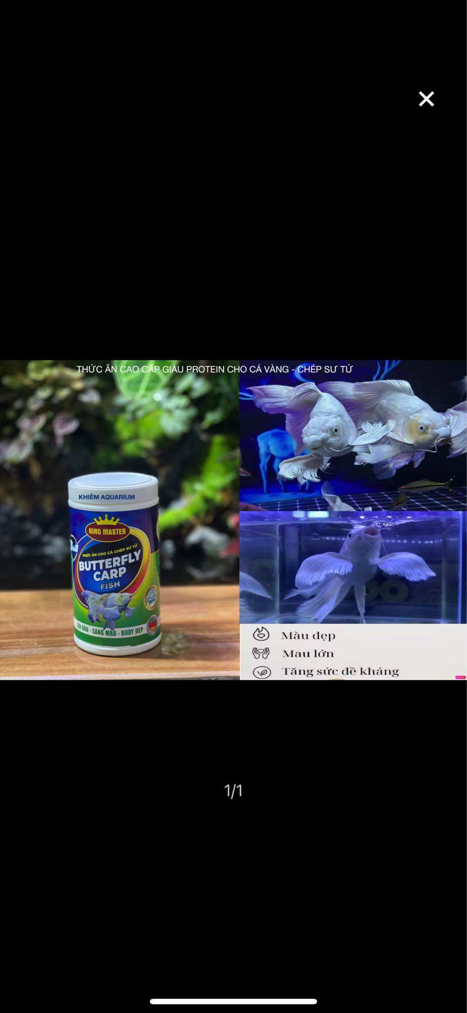 THỨC ĂN CHO CÁ CHÉP SƯ TỬ KING MASTER 500G