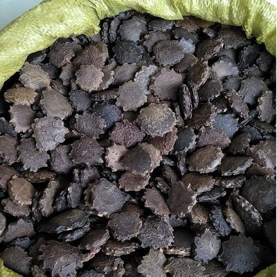 1kg hạt gấc chưa rang