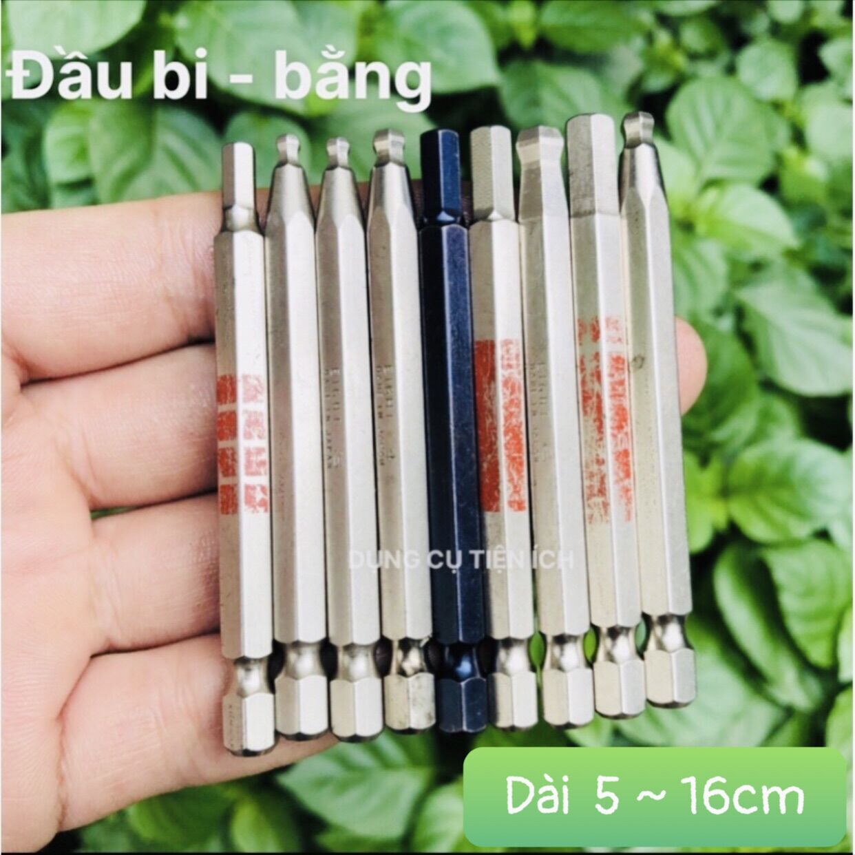 Đầu lục giác Eight Nhật (Bãi)