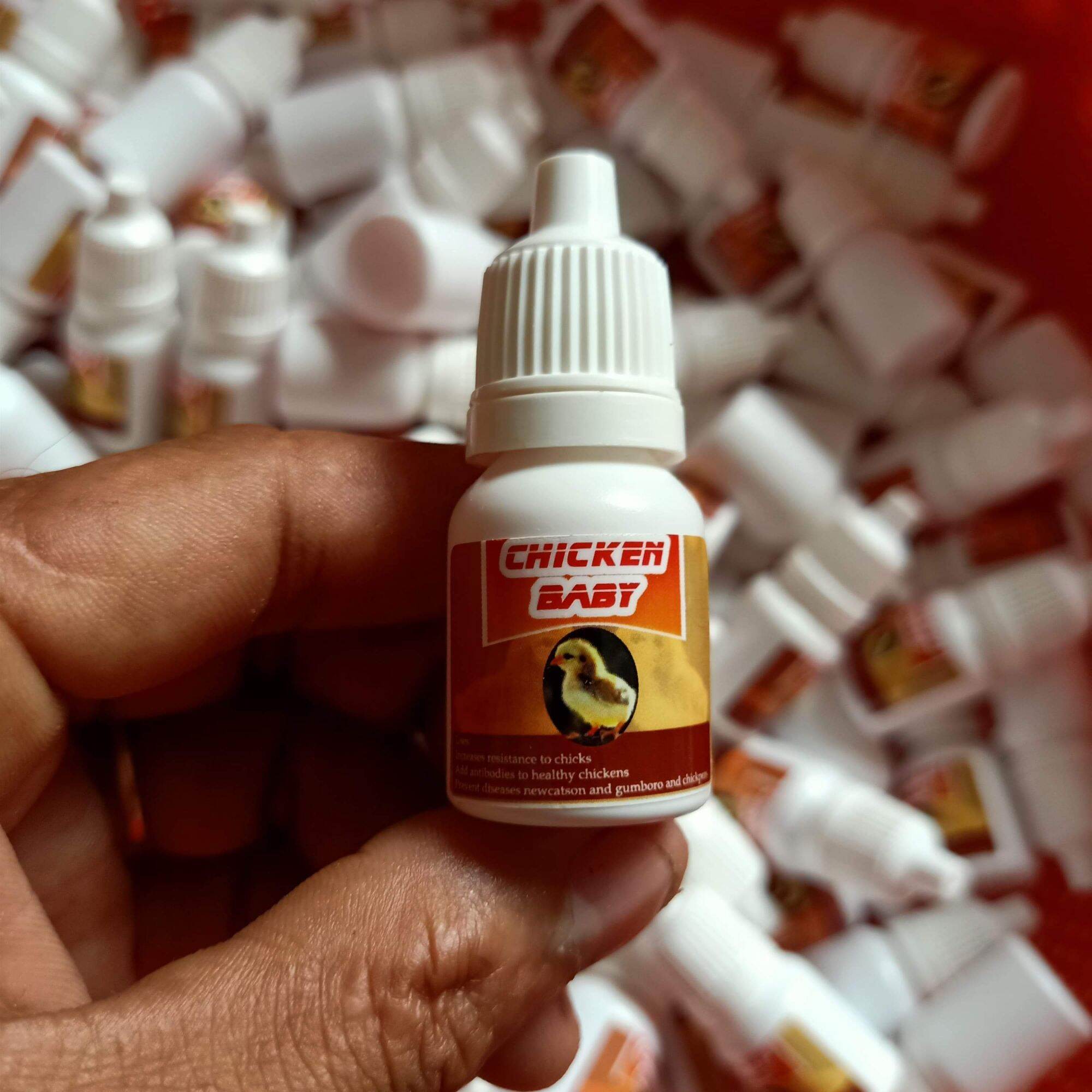 Úm Gà Con mới nở....